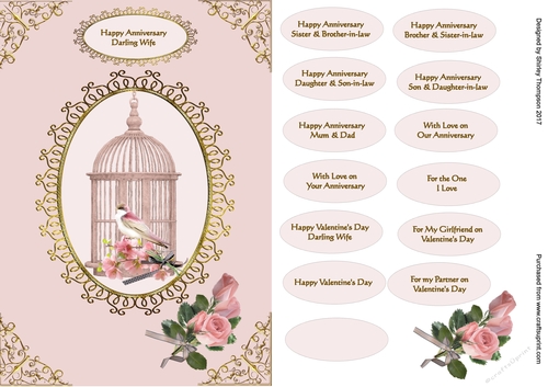 Pink A5 bird cage Anniversay/Valentines Day card front.