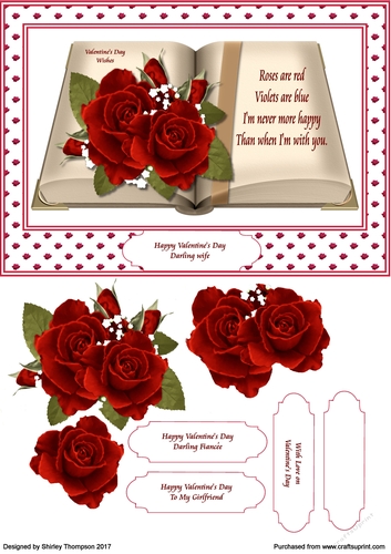 A5 red rose book Valentines Day card front.