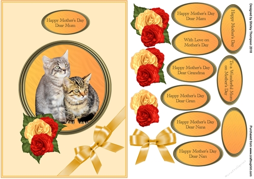 A5 cute cats Mothers Day card front
