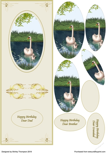 Swan & cignet large DL card front with decoupage.