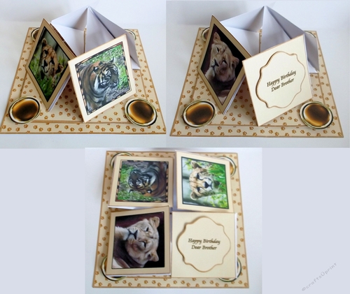 Wild cats 7 x 7 in quad easel card