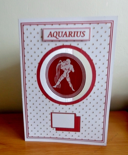 A5 Zodiac spinner card front (Aquarius)