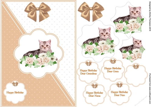 Beige & white A5 cat and flowers card front