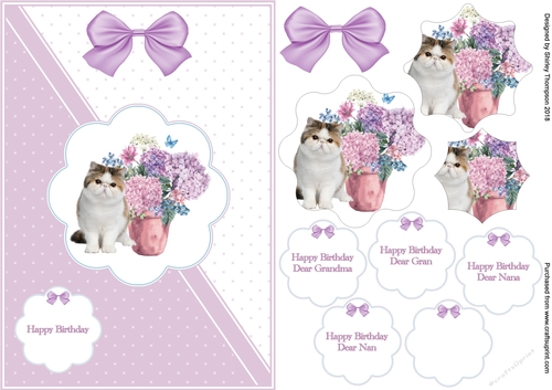 Lilac & white A5 cat and flowers card front
