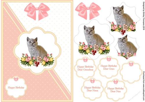 Salmon pink & white A5 cat and flowers card front