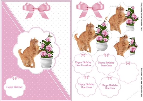 pale purple & white A5 cat and flowers card front