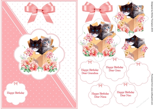 Dusky pink & white A5 cat and flowers card front