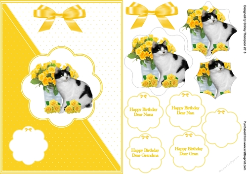 Yellow & white A5 cat and flowers card front