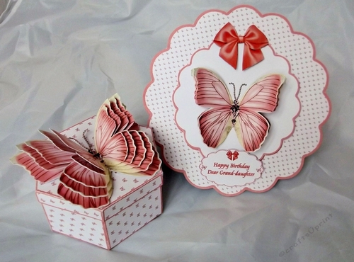 Hexagonal butterfly box and rocker card (Coral)