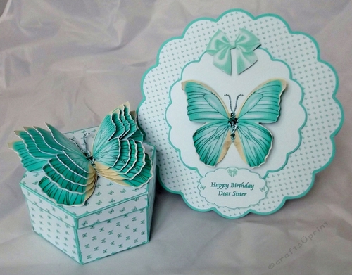 Hexagonal butterfly box and rocker card (Green)