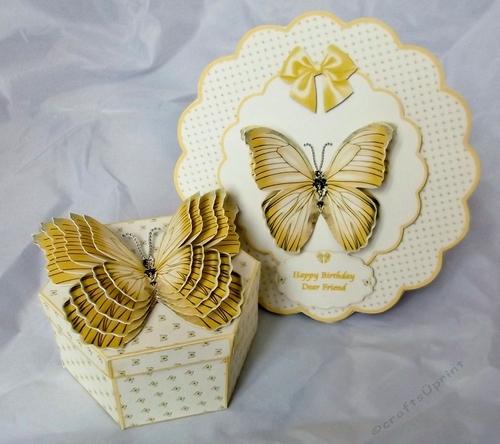 Hexagonal butterfly box and rocker card (lemon)