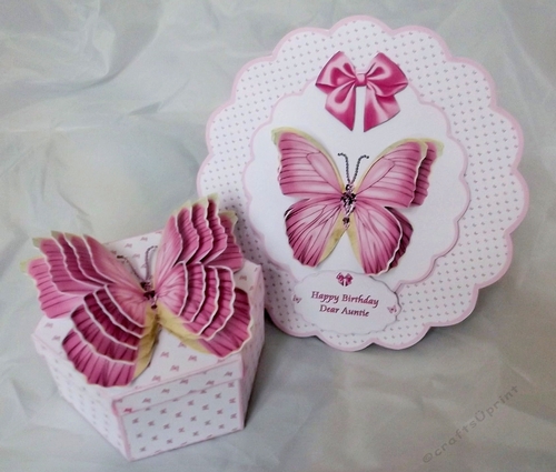 Hexagonal butterfly box and rocker card (Pink)