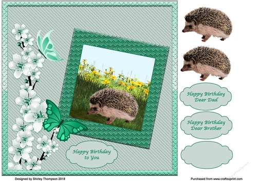 Cute hedgehog 8 x 8 card front