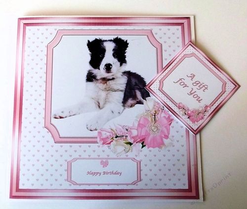 8 x 8 cute dog card front with insert and matching gift tag.