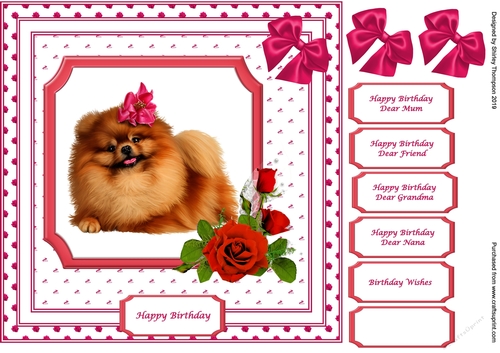 8 x 8 cute pomeranian dog quick card front