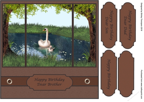 8 x 8 swan panel card front
