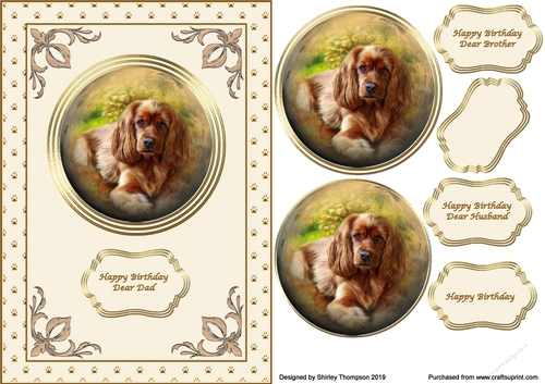 A5 cute spaniel step by step card front