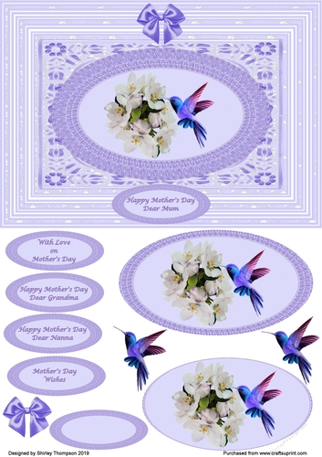 A5 humming bird quick card front