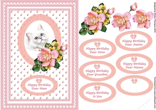 A5 cute cat in floral lace frame step by step card front