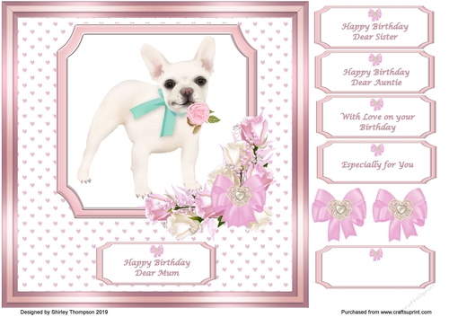 8 x 8 french bulldog quick card front