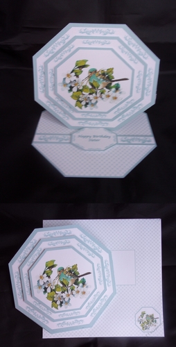 5 x 5 Blue bird octagonal easel card with matching envelope