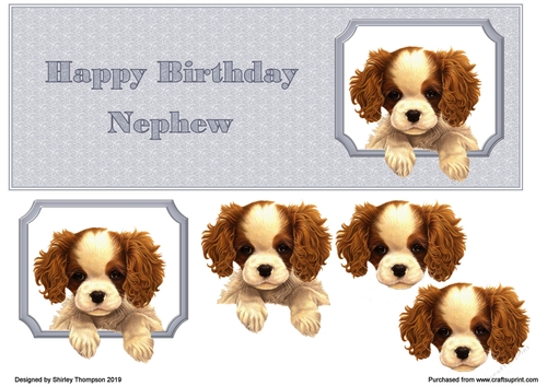 Cute puppy DL step by step card front (Nephew)