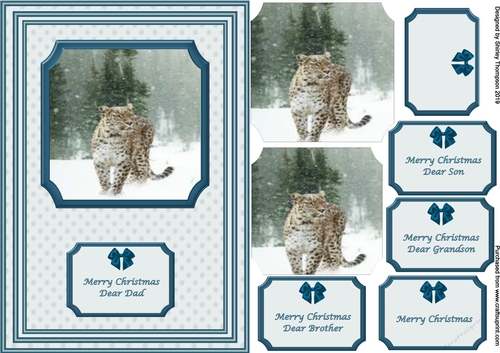 A5 leopard in the snow step by step card front