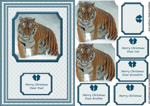 A5 tiger in the snow step by step card front