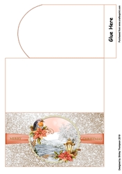 Robin money wallet