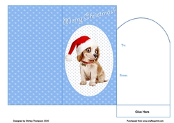 Cute puppy money wallet (Blue).