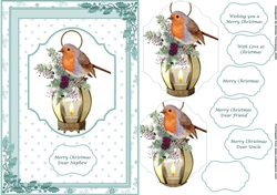 A5 robin on a lantern step by step card front (Aqua)