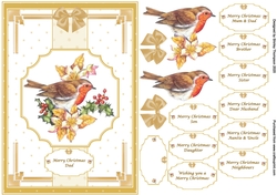 A5 robin step by step card front