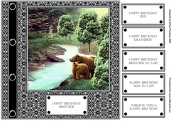 8 x 8 Bears in the woods quick card front