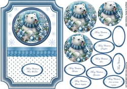 A5 blue framed polar bear step by step card front.