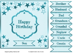 7.5 in blue stars quick card front.