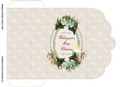 Beige snowflakes money wallet.