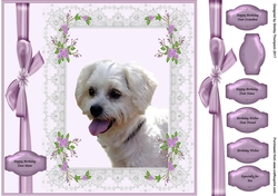 Cute dog 8 x 8 in card front.