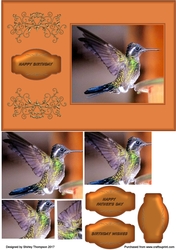 Humming bird A5 step by step card front.