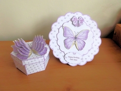 Hexagonal butterfly box and rocker card (lilac)