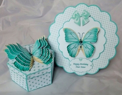 Hexagonal butterfly box and rocker card (Green)