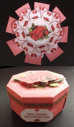 Plaid red Christmas roses exploding box card