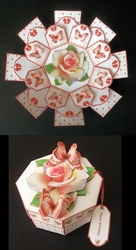 Peach rose with 3D butterflies exploding box card