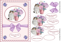 A5 step by step cat & hydrangea card front