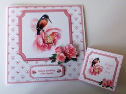 8 x 8 kingfisher card front with insert and matching gift tag.