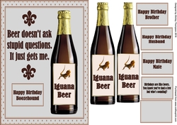 A5 iguana beer step by step card front