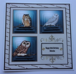 8 x 8 Wise old owls card front with decoupage
