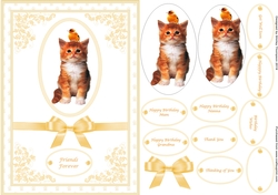 A5 Friends forever step by step card front