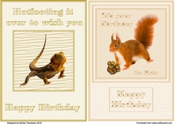 Two humerous A5 quick card fronts