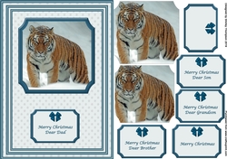 A5 tiger in the snow step by step card front