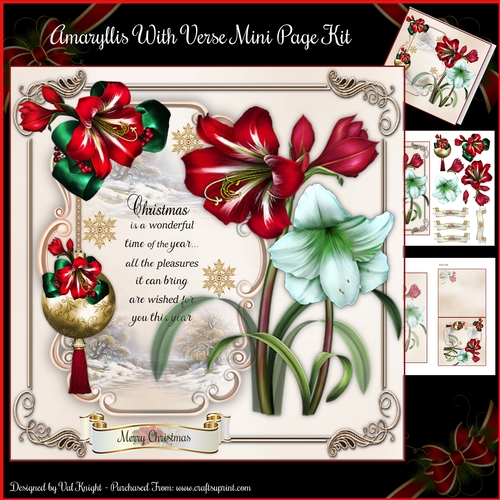 Christmas Amaryllis With Verse Mini Page Kit